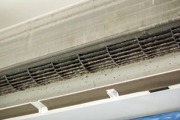 Best Local Air Duct Cleaning Services  in Kingsport, TN